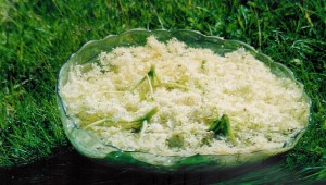 preparazione sambuco